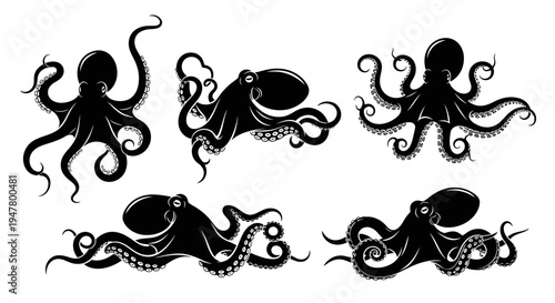 Set of Black Octopus Silhouettes on White Background, Underwater Marine Life