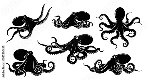 Set of Black Octopus Silhouettes on White Background