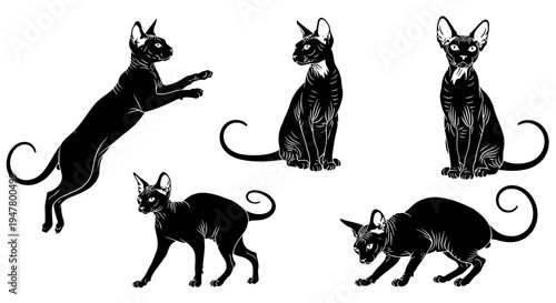 Set of Black Oriental Shorthair Cats Silhouettes in Various Poses