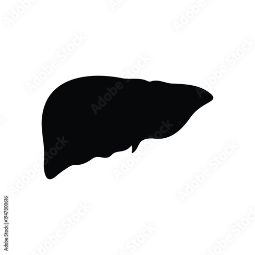 Liver silhouette icon vector flat design.