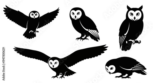 Set of Black Owl Silhouettes in Various Poses - Flying, Perching, Sitting