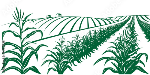 A green illustration of a cornfield with rows of crops Vector