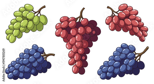 Variety Of Grapes: Green, Red, And Blue Bunches On White Background