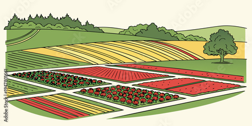 A colorful illustration of a garden with multiple plots of land Vector
