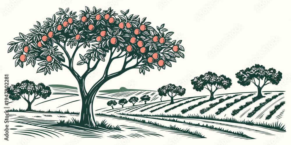 Fototapeta premium An orange tree in a field with rows of crops Vector