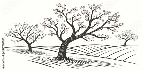 A tree with pink blossoms in an orchard Vector