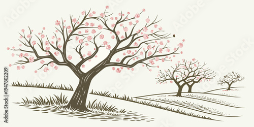 A tree with pink blossoms in a field Vector