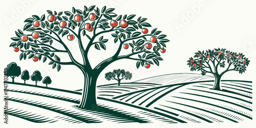 An apple orchard with trees and rows of crops Vector