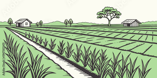 A green field with a path and houses Vector