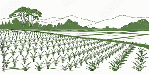 A green illustration of a field with rows of crops and trees Vector