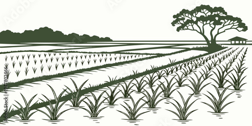 A field with rows of crops and a tree Vector