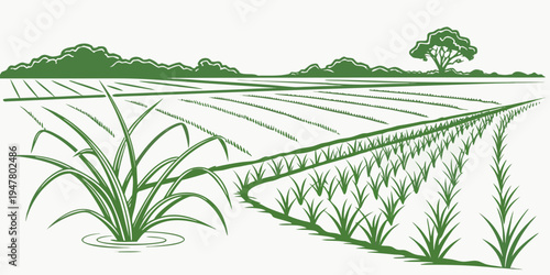 A green illustration of a rice field with plants and trees Vector