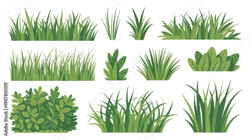 Collection of Various Green Grass and Bush Illustrations.