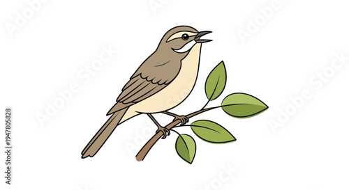 A small brown bird perched on branch.