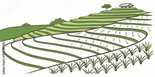 A green field with terraces and a tree on top Vector
