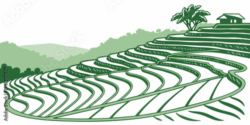 A green illustration of a vineyard on a hillside Vector