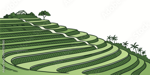 A green tea plantation with terraced fields and trees Vector