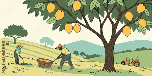Farmers harvesting lemons under a tree Vector