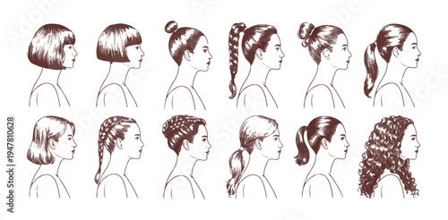 Set of female profile illustrations featuring diverse collection of popular modern hairstyles