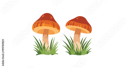 Two charming cartoon mushrooms with orange caps and light brown stems growing in a small patch of green grass, isolated on a white background.