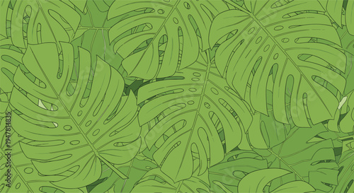 Seamless pattern background of lush green monstera deliciosa leaves, creating a dense tropical jungle or botanical wallpaper design.