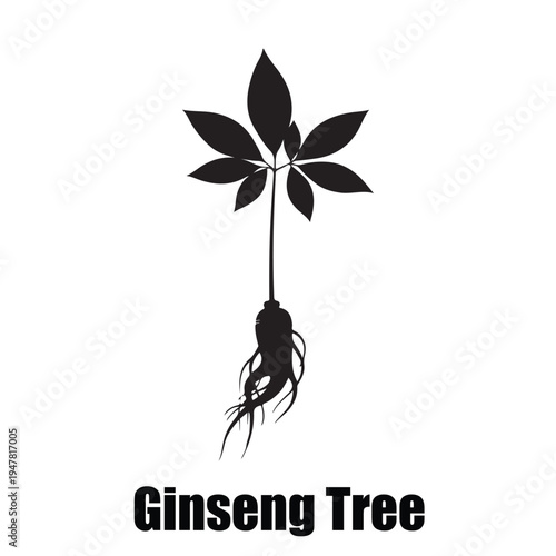  Ginseng Tree Botanical Icon with Palmately Compound Leaves and Fleshy Root