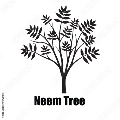 Neem Tree (Azadirachta Indica) Botanical Silhouette Icon with Pinnate Leaves