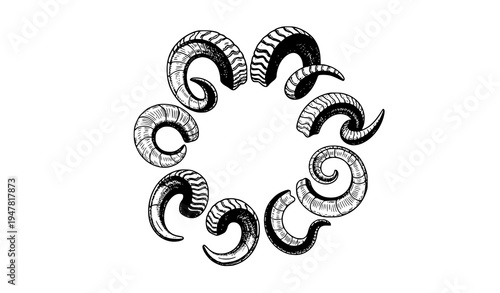 Hand drawn vintage ram sheep and goat horn collection circular engraving illustration isolated on white