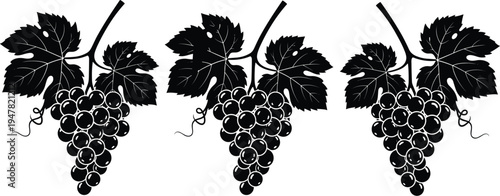 Grape cluster silhouette with leaves, vineyard fruit illustration, black grape bunch icon set, wine harvest botanical design element