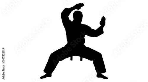Martial artist silhouette executes a powerful defensive stance
