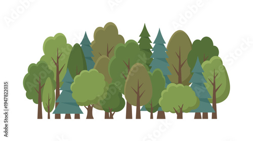 Lush mixed forest of deciduous and evergreen trees