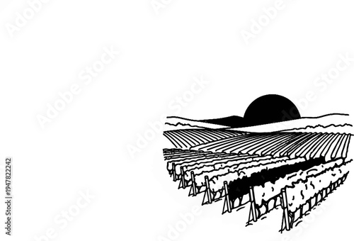 Rolling fields of crops under a setting sun