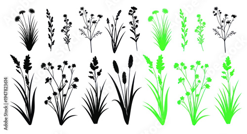 Black and Green Wild Grass Silhouettes, Nature Elements