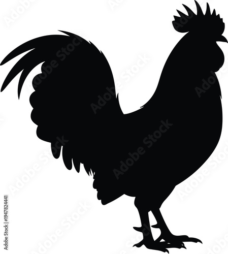 Silhouette of a rooster isolated on transparent background