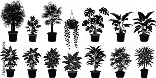 Indoor houseplant silhouettes collection in pots with tropical leaves and hanging plant, decorative home greenery and botanical design illustration