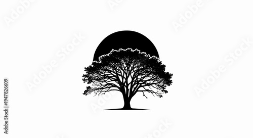 Silhouette of a large tree with intricate branches against a black sun