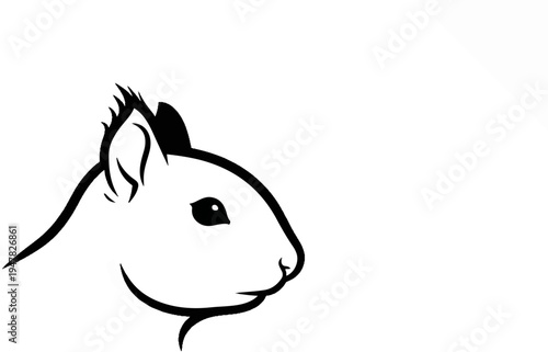 Stylized black and white outline drawing of a squirrel's head in profile