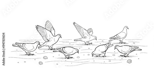 Sketch of pigeons on a sandy surface with shells