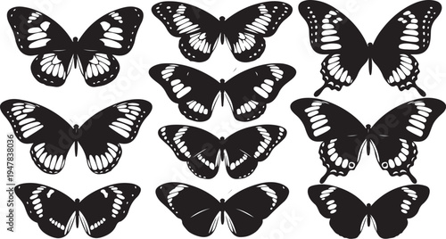 Black and White Butterfly Silhouettes on White Background