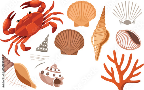 Collection of realistic sea shells coral starfish and crab illustrations perfect for beach ocean marine and coastal themed designs