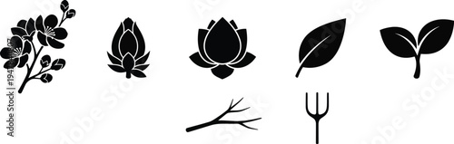 Stages of plant life including branches, buds, fully bloomed flowers, and individual leaves. Cannabis, black floral and botanical silhouettes. 