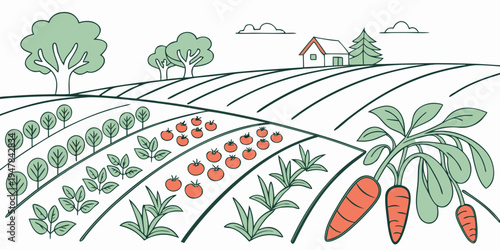 A garden with rows of vegetables growing in the soil Vector