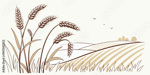 A bunch of wheat stalks with grain heads Vector