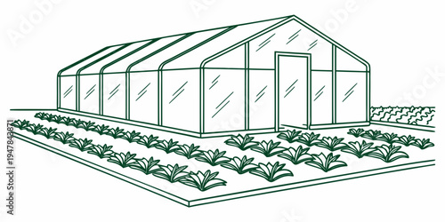 A large greenhouse with multiple sections and rows of plants Vector