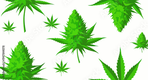Green Cannabis Leaves and Buds, Marijuana Plant Elements, Isolated on White
