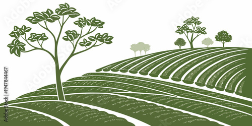 A green field with rows of crops and trees Vector