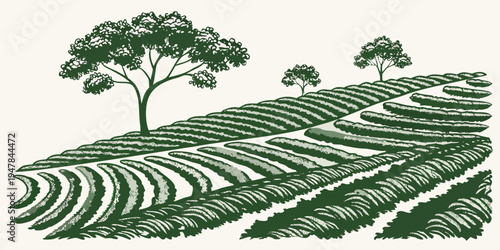 A green field with trees on a hillside Vector