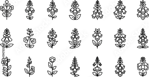 Black and white floral flowers line simple 1