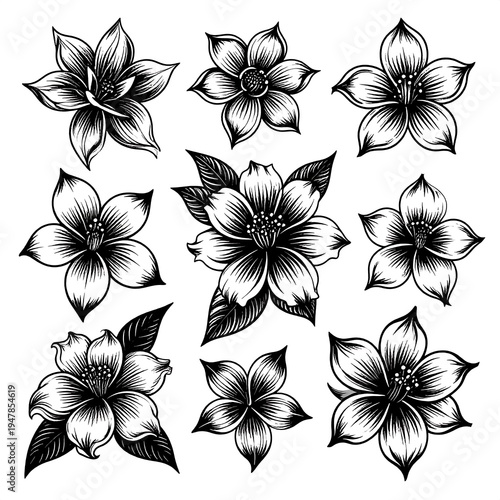 Nine monochrome floral illustrations in a variety of styles, showing petals, stamens, and leaves on a white background