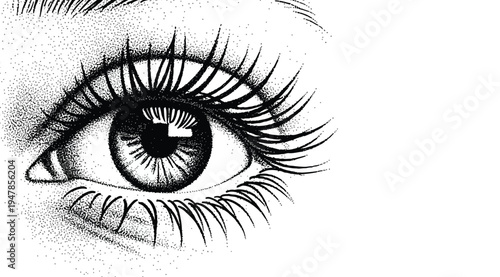 A detailed illustration of a human eye with long eyelashes on a white background